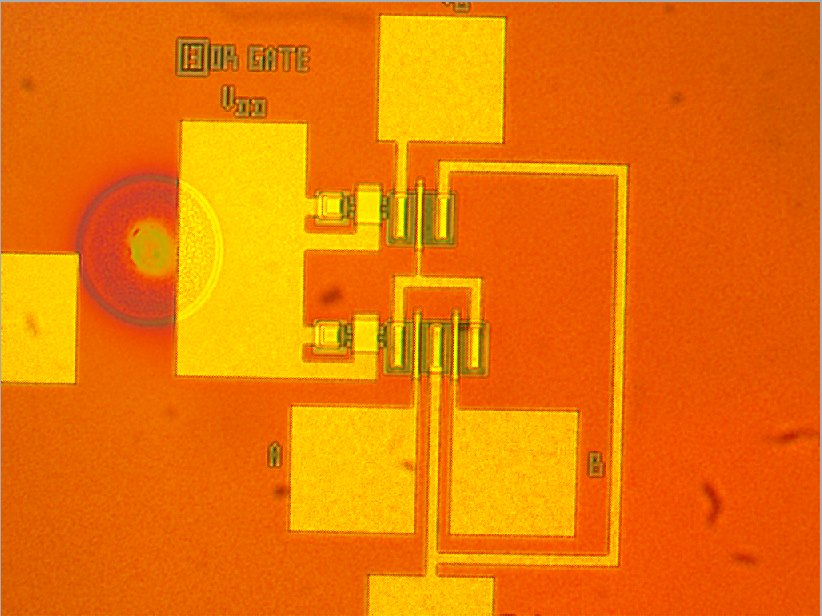 or gate wafer being analyzed