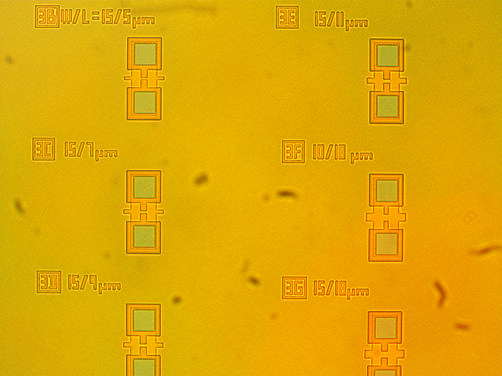 transistor wafer being analyzed